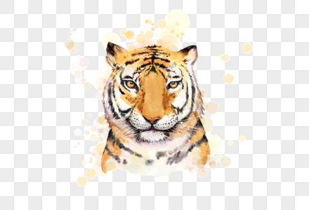 老虎野兽动物彩绘元素高清图片