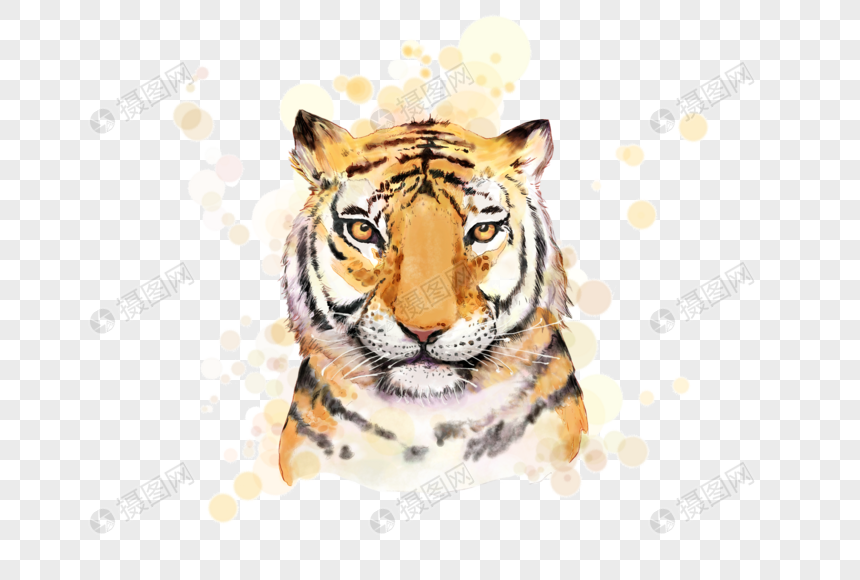 老虎野兽动物彩绘元素图片