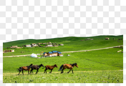 策马崩腾的夏季新疆大草原高清图片