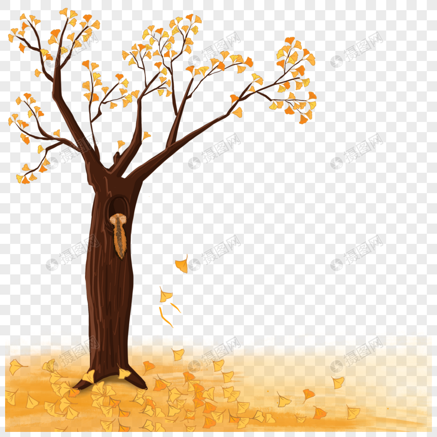 秋天银杏树图片