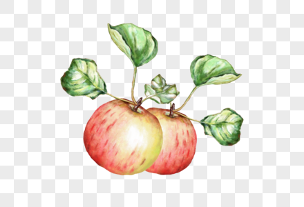 苹果水果彩绘元素高清图片