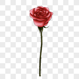 一支红玫瑰七夕节情人节图片