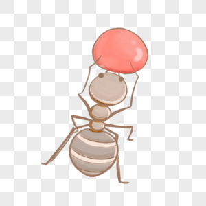 昆虫蚂蚁图片