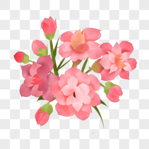 卡通植物插图卡通粉红色长寿花素材
