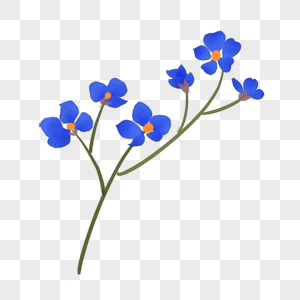 紫中带白勿忘我图片