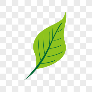 一片励志叶子图片