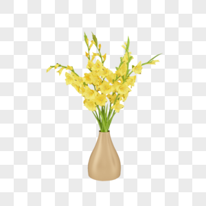 花瓶植物图片