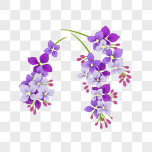 紫藤花素材 紫藤花素材图片大全 紫藤花素材背景图片 紫藤花素材 紫藤花素材图片大全 紫藤花素材背景图片