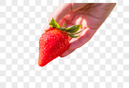 生态有机新鲜草莓图片