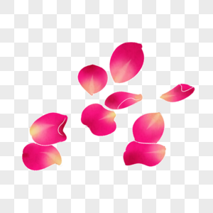 粉红色色花瓣插图图片