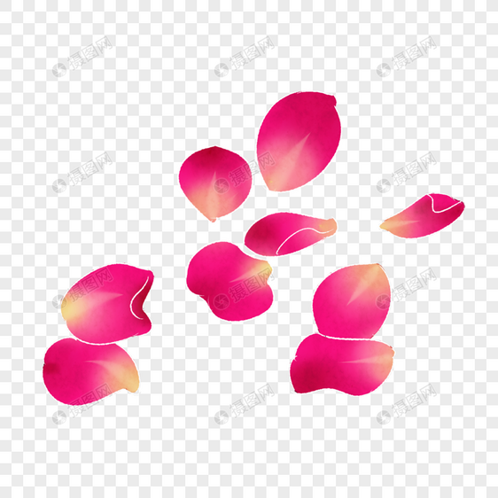 粉红色色花瓣插图图片