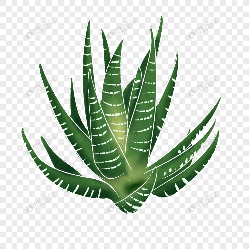 卡通条纹十二卷插图