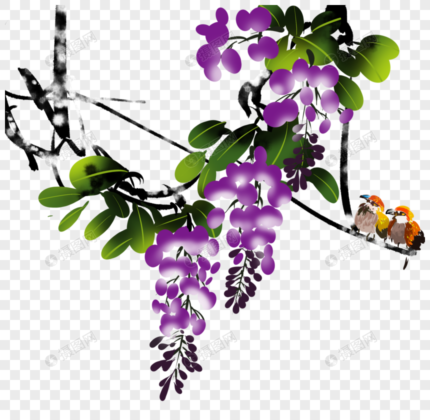 水墨紫藤鸟图片