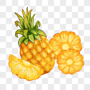 手绘菠萝水果图片