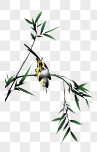 水墨竹子鸟图片