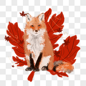 红狼图片 红狼素材 红狼高清图片 摄图网图片下载