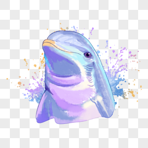 海豚水彩手绘图片