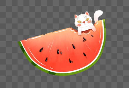 夏季吃瓜的小猫图片