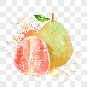 柚子水彩图片