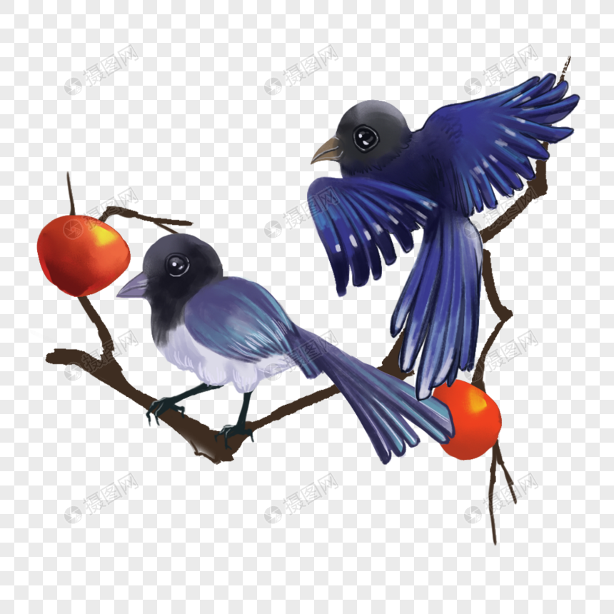 免抠元素 手绘/卡通元素 报喜鸟 鹊.