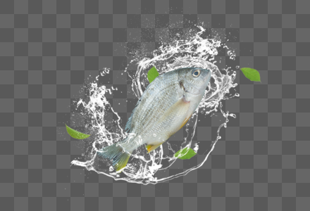 创意生鲜鱼鱼疗图片素材