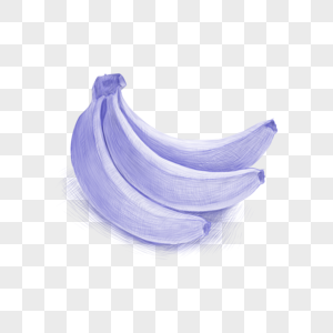 香蕉圆珠笔风格素描图片