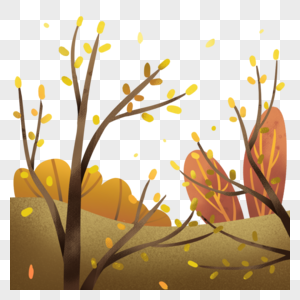 落叶的树林图片