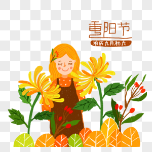 菊花茱萸重阳节高清图片