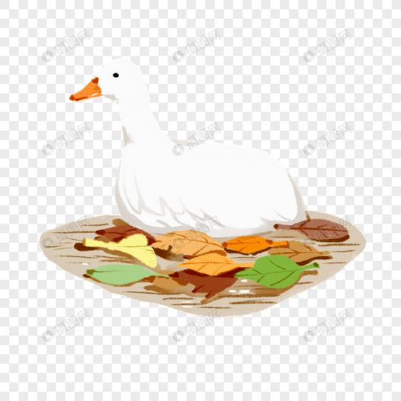 秋日水中的可爱鸭鸭图片