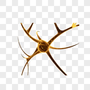 神经元建模素材介神经高清图片