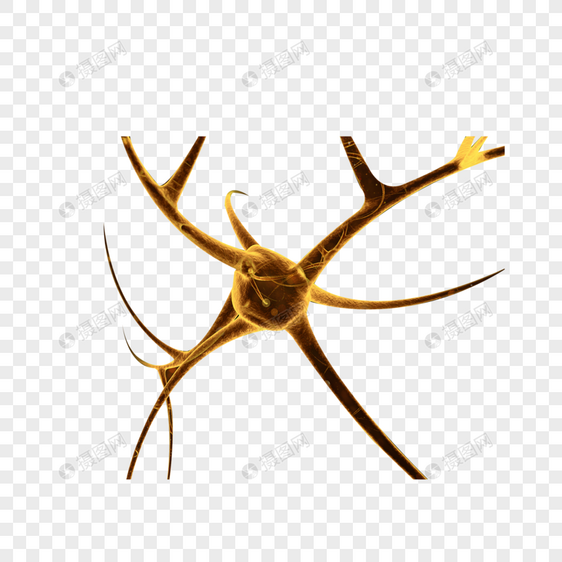 神经元建模图片