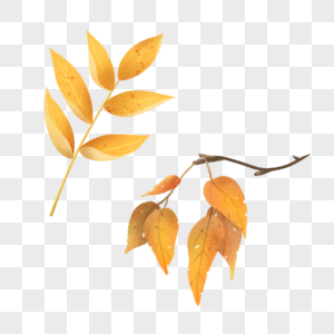 枯黄的树叶秋天枯萎高清图片
