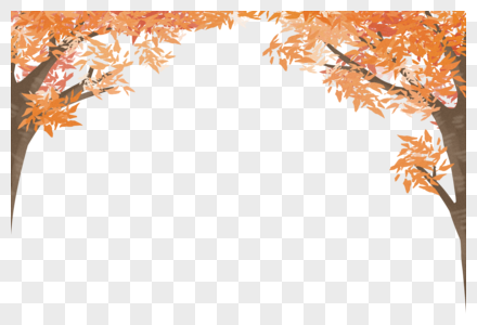 秋天的树木立秋的小树高清图片