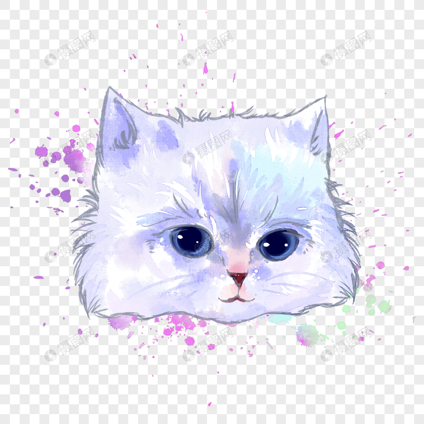 猫咪金吉拉水彩手绘