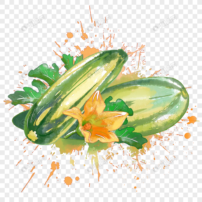 葫芦瓜水彩图片