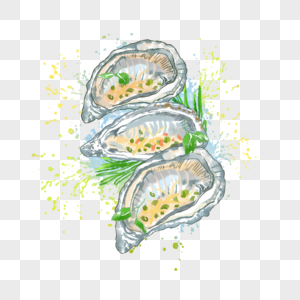 新鲜生蚝贝壳图片