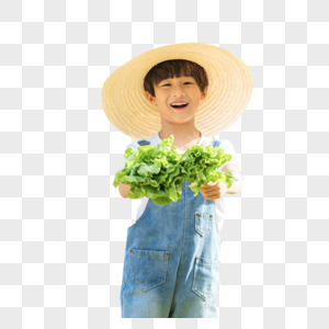 戴草帽小男孩摘生菜图片