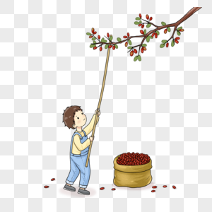 打枣的小男孩图片素材