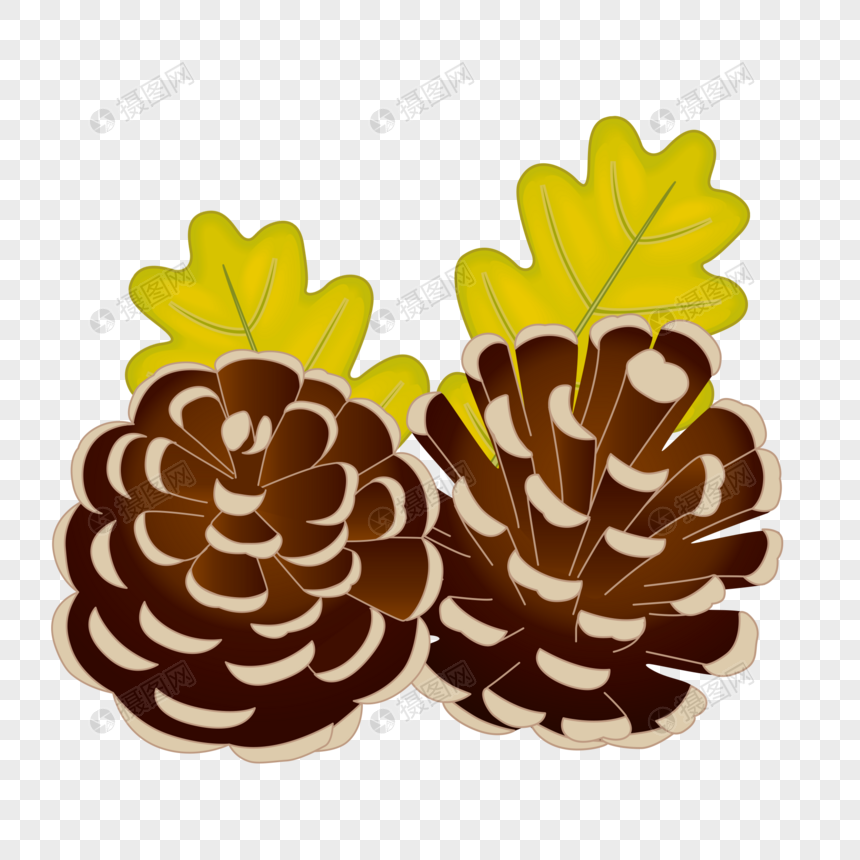 秋季成熟的松塔素材下载