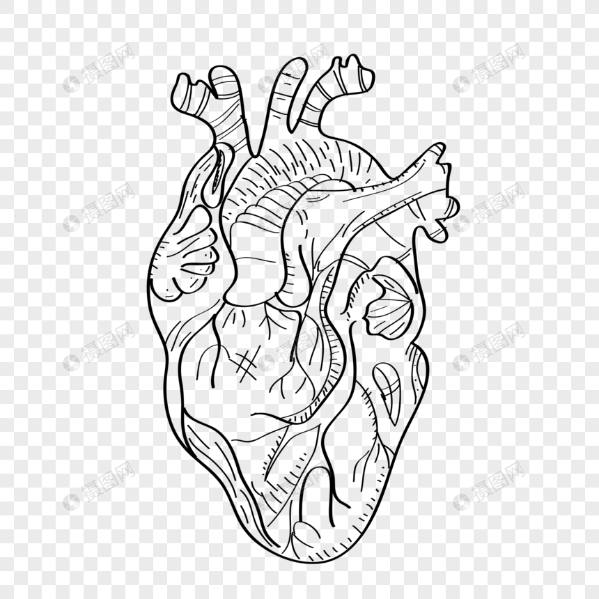 线条心脏