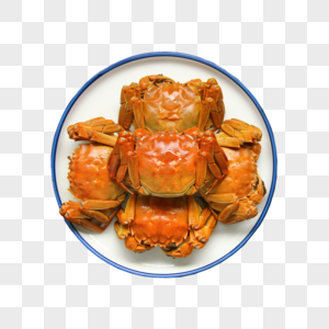 美味大闸蟹螃蟹背景素材图片
