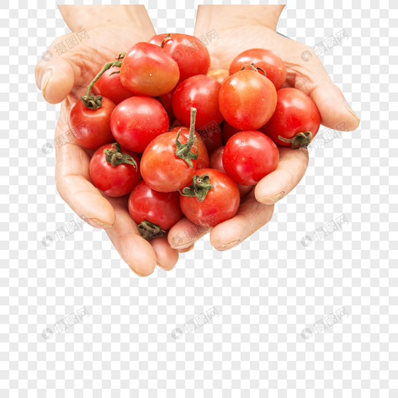 捧着西红柿的双手图片