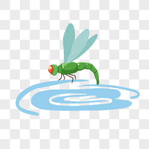 蜻蜓点水蜻蜓点水元素高清图片