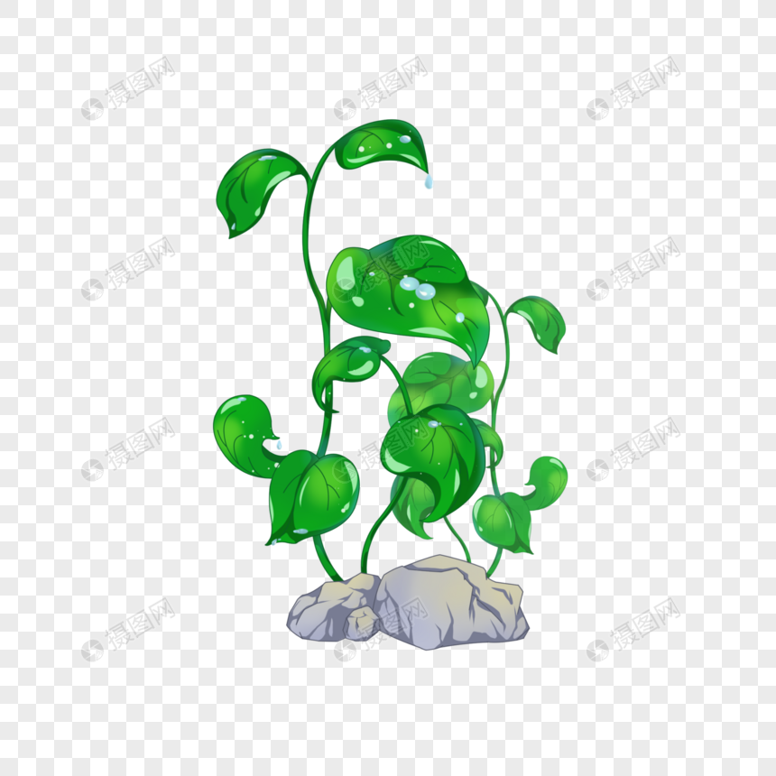 植被上面的露水