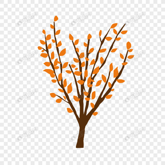 秋天的小树图片