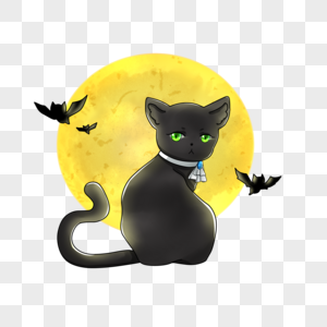 圆月下的黑猫图片