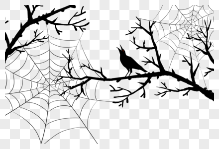 枯树上的蜘蛛网和乌鸦剪影高清图片