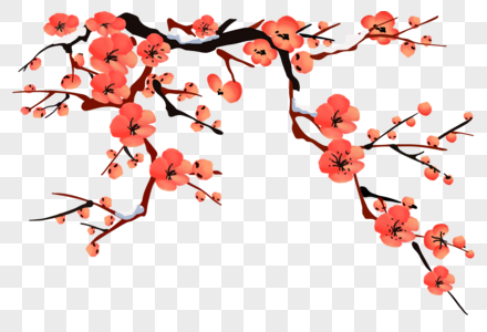 红色腊梅树图片