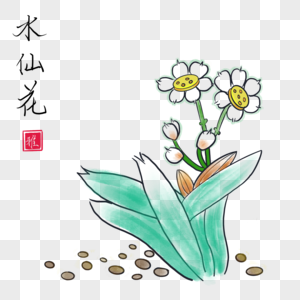 水仙花图片