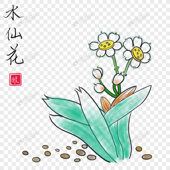 水仙花图片